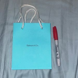 Tiffany empty Gift bag